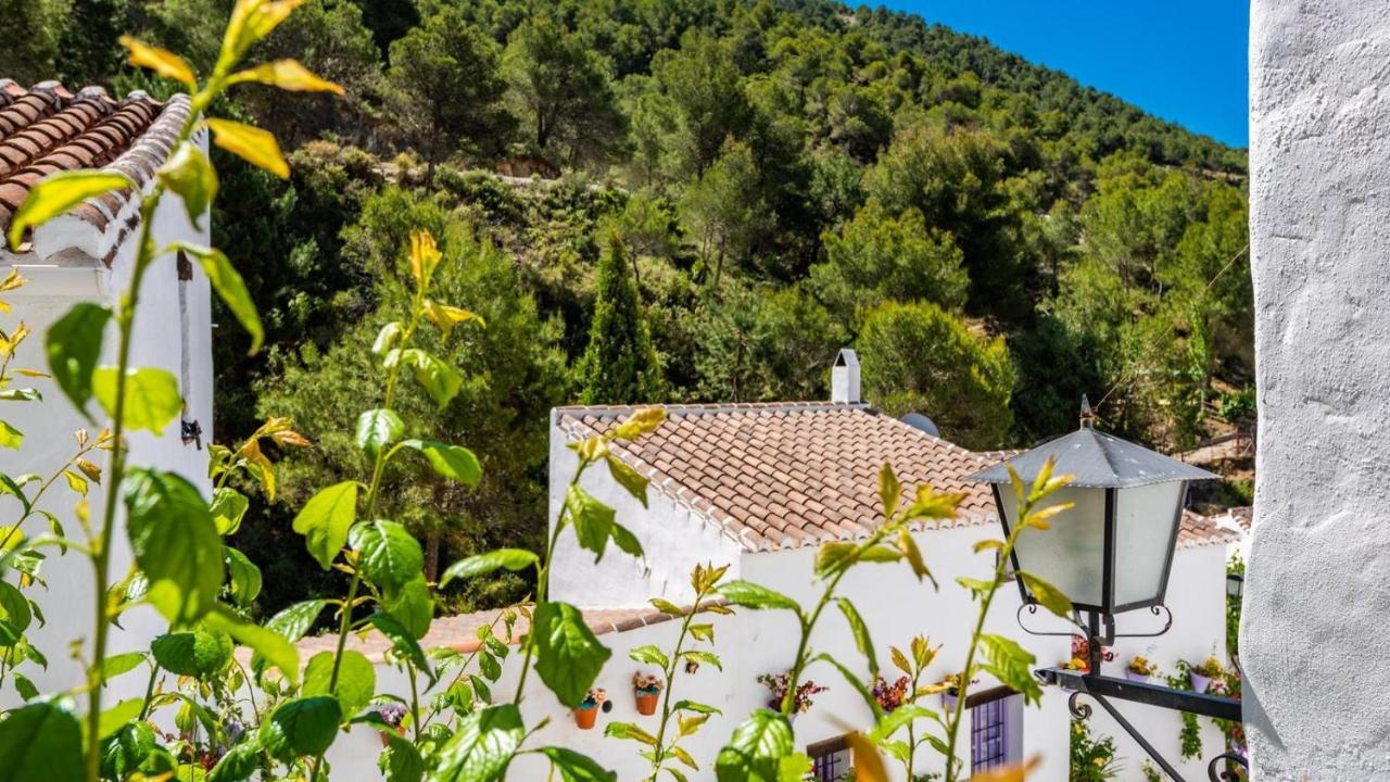 Casa Alhama Frigiliana By Ruralidays 빌라 외부 사진
